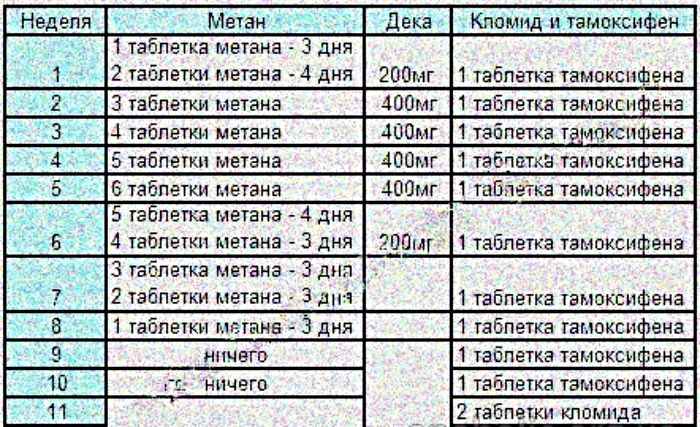 Эффективный курс стероидов для набора массы